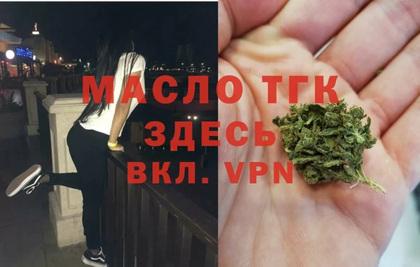 индика Зарайск